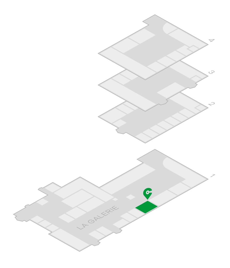 niveau-1