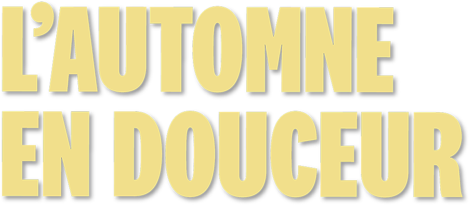 Banner Fribourg Center