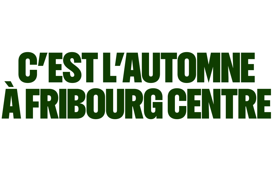 Banner Fribourg Center